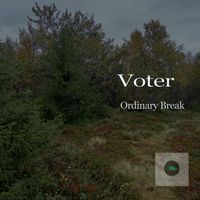Voter - Ordinary Break