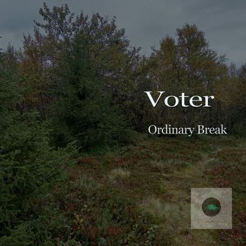 Voter - Ordinary Break