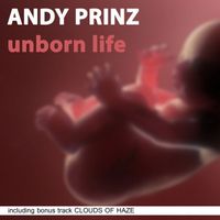 Andy Prinz - Unborn Life