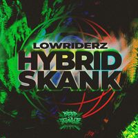 LowRIDERz - Hybrid Skank EP