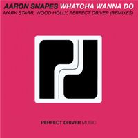 Aaron Snapes - Whatcha Wanna Do
