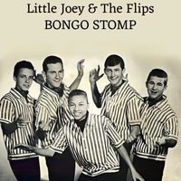 Little Joey & The Flips - Bongo Stomp