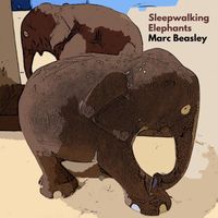 Marc Beasley - Sleepwalking Elephants