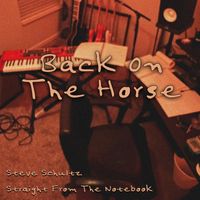 Steve Schultz - Back on the Horse
