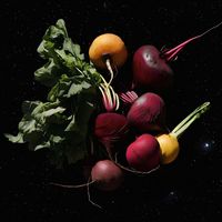 Danny G Tha Saviour - Beets (And Other Varying Fruits and Veggies)