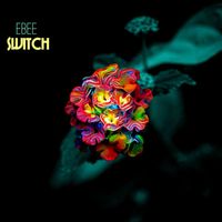 Ebee - Switch
