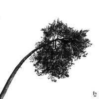 Fima - This Gives