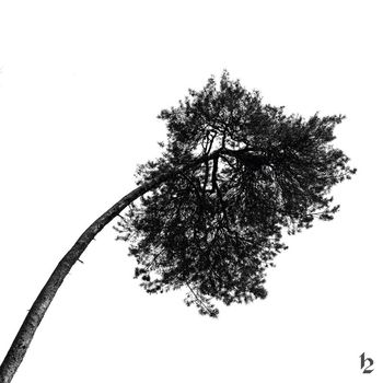 Fima - This Gives