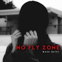 Moon Heist - No Fly Zone