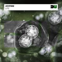 JoyFire - Life