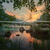 Arturo Toscanini, NBC Symphony Orchestra - Symphony No. 2 / Pohjola's Daughter, Op. 49 / The Swan Of Tuonela / Finlandia, Op. 26