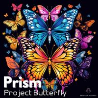 Project Butterfly - Prism