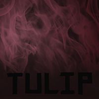 Tulip - HOLLOW (Scarlet Flame Version)