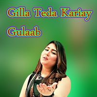 Gulaab - Gilla Teda Kariay Gulaab (Explicit)