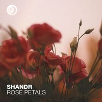 shandr - Rose Petals