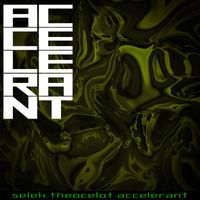 Selek - The Ocelot