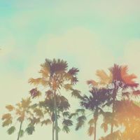 Carl Higson - Archipelago