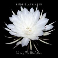 King Black Acid - Victory for Mad Love (Explicit)