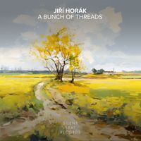 Jiří Horák - A Bunch of Threads