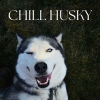 Animal and Bird Songs - Chill Husky