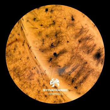 Rhythm Assembler - Sub Sequence (Syep022)