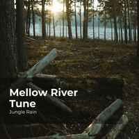 Jungle Rain, Nature and Rain, Deep Rain Sampling - Mellow River Tune