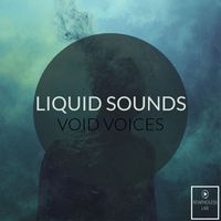 Liquid Sound - Void Voices