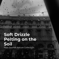Rain Sounds Nature Collection, ASMR Rain Sounds, Sleepy Rain - Soft Drizzle Pelting on the Soil