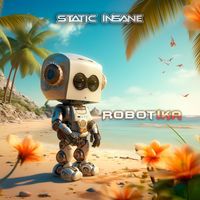 Static Insane - Robotika