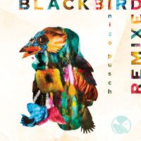 Nico Pusch - Blackbird Remixed