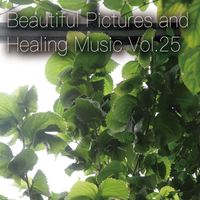 Various Artists - Beautiful Pictures and Healing Music Vol.25 (Women's Public Opinion ver.)