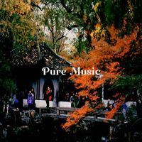 Relaxing Piano Music - Pure Music