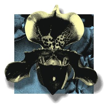 Various Artists - NOWHERE02