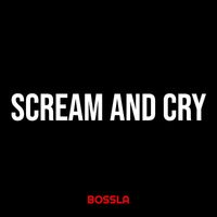 Bossla - Scream and Cry