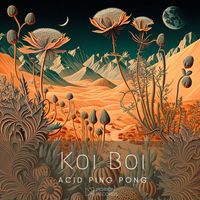 Koi Boi - Acid Ping Pong