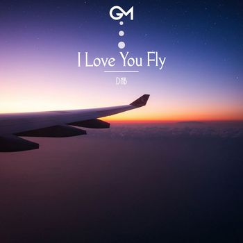 DnB - I Love You Fly