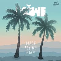 MÖWE - Birds Flying High