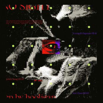 Hooligan - No Sight