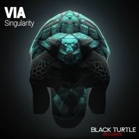 VIA - Singularity