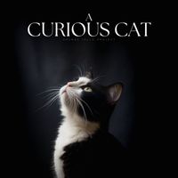 Music For Cats - A Curious Cat