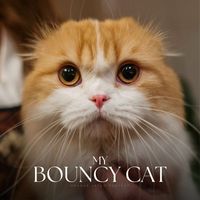 Music for Cats Peace - My Bouncy Cat