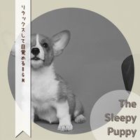 The Sleepy Puppy - リラックスして目覚めるBGM