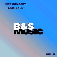 B&S Concept - Kinda Like You