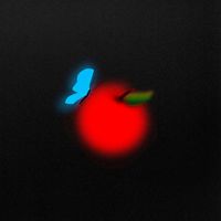 Lightning Bug - Opus