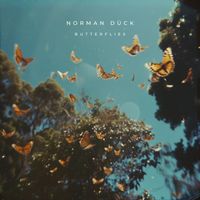Norman Dück - Butterflies