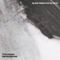 Thousand Impressions - Black Swan Pas De Deux