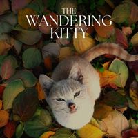 Cats Music Zone - The Wandering Kitty