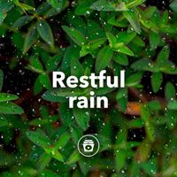 Spa Music - Restful Rain