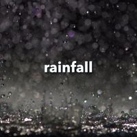 Jungle Sounds - Rainfall