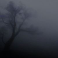 Pulsar - Lost in the Mist